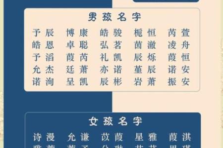 2019年6月26号卯时出生的男孩起名方法姓名