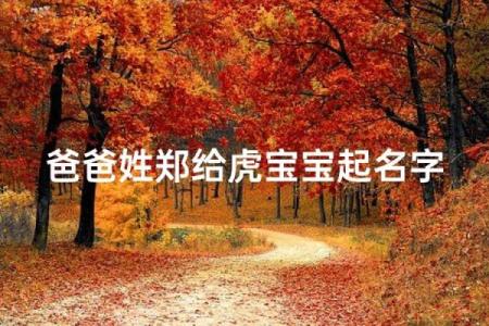 上午11点出生的属虎男孩起什么名,用什么字姓名