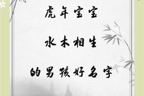 2019年5月3号丑时出生的男孩要怎么起名字姓名