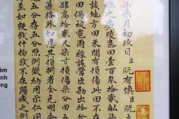 阮姓女孩名字大全-阮姓女孩起名字大全-阮姓名字大全姓名