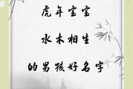 2019年5月3号丑时出生的男孩要怎么起名字姓名
