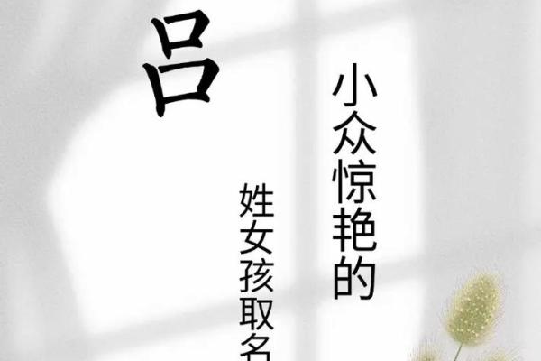 吕姓男孩名字大全-吕姓男孩起名字大全-吕姓名字大全姓名