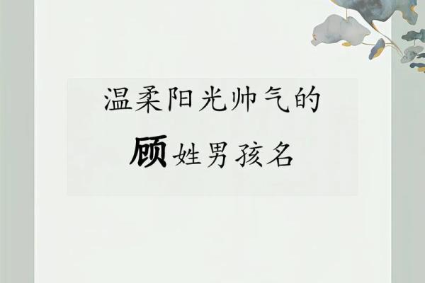 顾姓男孩名字大全-顾姓男孩起名字大全-顾姓名字大全姓名 顾姓男孩名字大全-顾姓男孩起名字大全-顾姓名字大全姓名