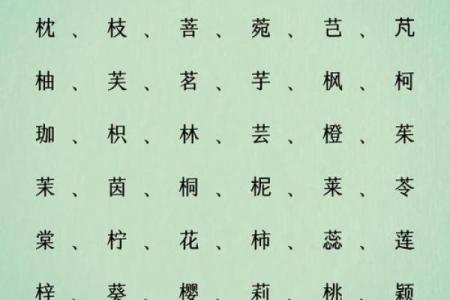带木字旁的男孩名字-名字大全-姓名学-华易算命网姓名
