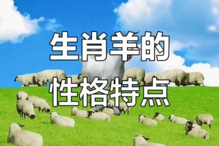 凌晨3点出生的属羊男孩如何起名，应用什么字姓名