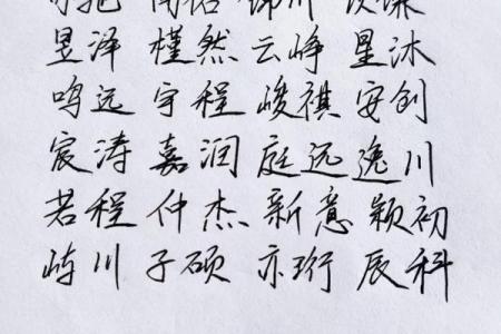 2019年3月26号申时出生的男孩要怎么起名字姓名