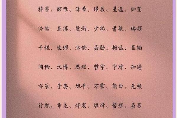 2019年3月24号辛时出生的男孩起名时要注意什么姓名