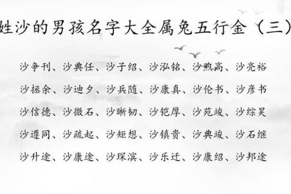 2019年6月15号卯时出生的男孩起名时要注意什么姓名 2019年6月15号卯时出生的男孩起名时要注意什么姓名