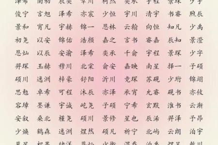 2019年3月17号巳时出生的男孩应该起什么样的名字姓名