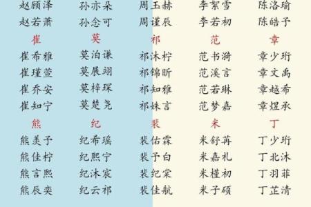 2019年4月2号辰时出生的男孩应该起什么样的名字姓名