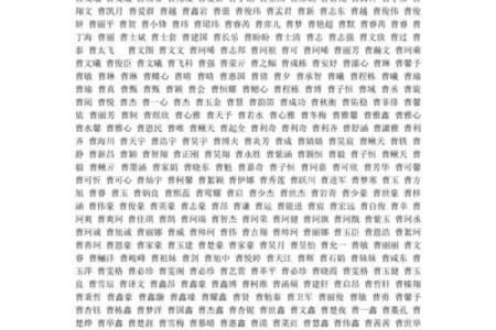 曹姓男孩名字大全-曹姓男孩起名字大全-曹姓名字大全姓名