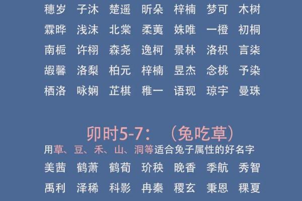 早上8点出生的属鼠男孩起名适合用什么字姓名