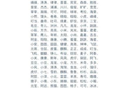 夏至节气出生的男孩乳名最佳字,顺口吉利的小名推荐姓名