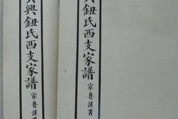 钮姓女孩名字大全-钮姓女孩起名字大全-钮姓名字大全姓名