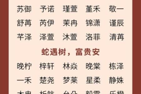 下午5点出生的属蛇男孩要如何起名，适合用什么字姓名