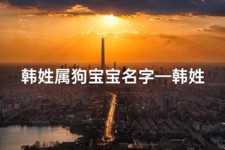 八月份出生的属狗男孩应该如何取名字姓名