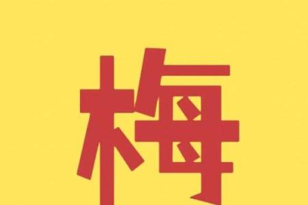 梅姓女孩名字大全-梅姓女孩起名字大全-梅姓名字大全姓名