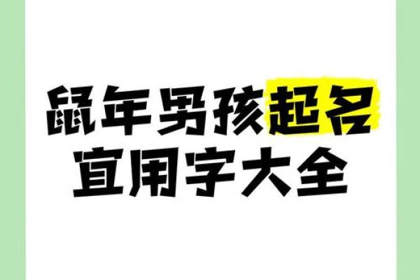 哪些字适合给早上7点出生的属鼠男孩起名姓名