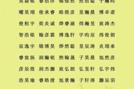怎么样给早上8点出生的属鸡男孩起名字好姓名