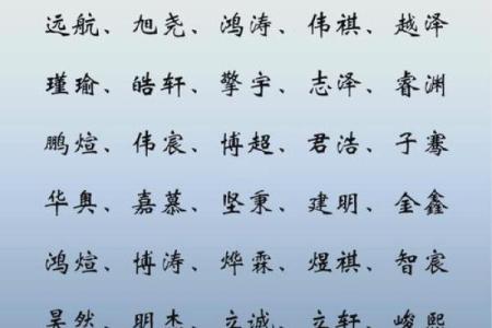 2019年6月21号子时出生的男孩应该起什么样的名字姓名