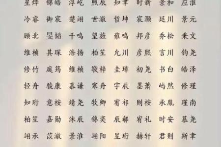 帅姓男孩名字大全-姓名学-华易算命网姓名