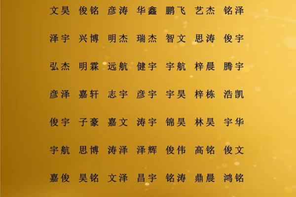 尹姓女孩名字大全-尹姓女孩起名字大全-尹姓名字大全姓名 尹姓女孩名字大全-尹姓女孩起名字大全-尹姓名字大全姓名