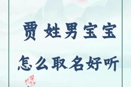 贾姓女孩名字大全-贾姓女孩起名字大全-贾姓名字大全姓名