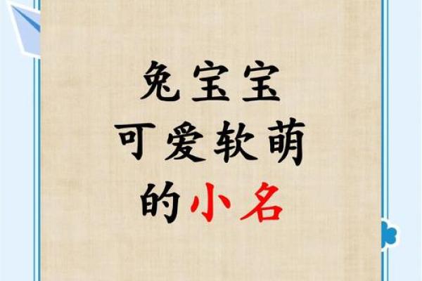 10月份出生的属兔男孩该怎样取名字姓名