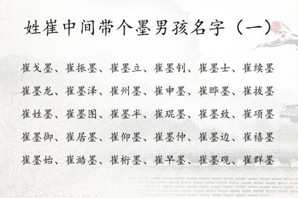 如何来替属猪未时出生的男孩如何起名姓名