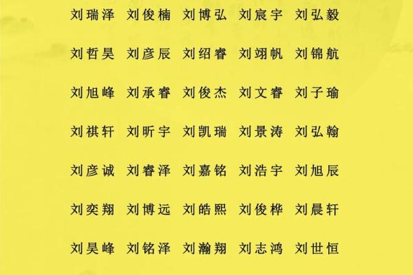 鲁姓男孩名字大全-鲁姓男孩起名字大全-鲁姓名字大全姓名 鲁姓男孩名字大全-鲁姓男孩起名字大全-鲁姓名字大全姓名