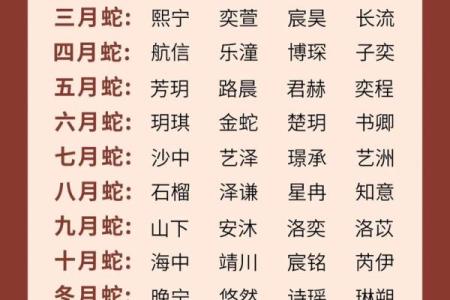 2019年3月26号巳时出生的男孩要怎么起名字姓名