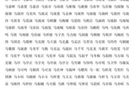 2月份出生的属马男孩起什么名字好姓名