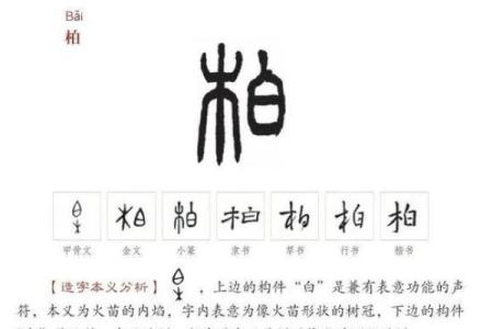 柏姓男孩名字大全-柏姓男孩起名字大全-柏姓名字大全姓名