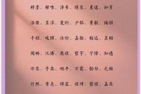 2021年农历六月二十三日出生男孩名字大气取名大全姓名