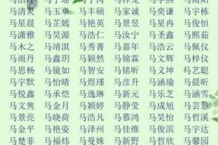 马年宝宝起名大全-姓名学-华易算命网姓名