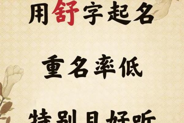 舒姓男孩名字大全-舒姓男孩起名字大全-舒姓名字大全姓名