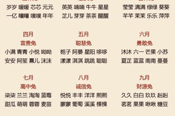 2月份出生的属兔男孩该怎么取名字姓名