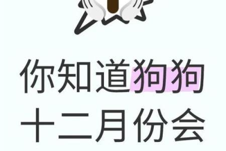 十二月份出生的属狗男孩应该怎样取一个好名字姓名