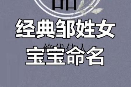 邹姓男孩名字大全-邹姓男孩起名字大全-邹姓名字大全姓名