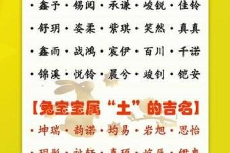 半夜出生属兔的男孩应该怎么样去名字呢姓名