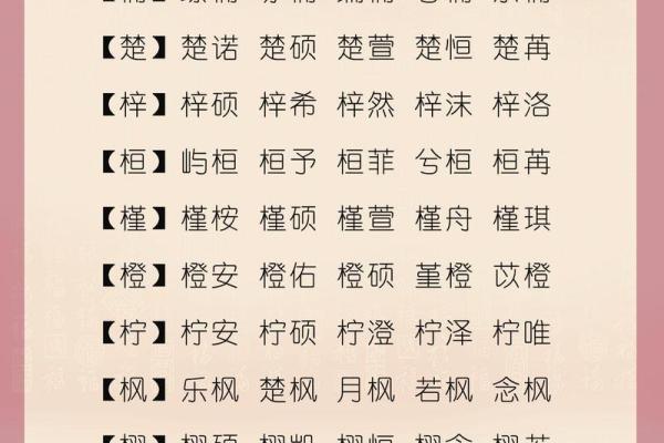 2019年6月27号卯时出生的男孩要怎么起名字姓名