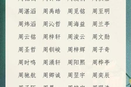 2019年3月24号未时出生的男孩起名时要注意什么姓名