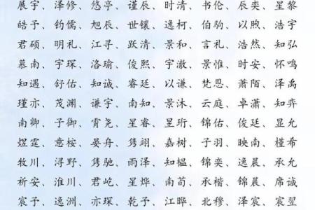 属狗卯时出生的男孩应该如何起名，宜用什么字姓名
