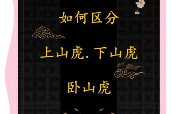 8月份出生的属虎男孩如何取名字好姓名