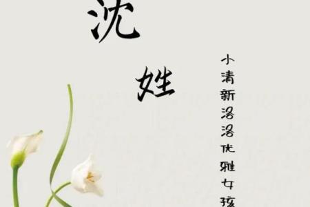 沈姓女孩名字大全-沈姓女孩起名字大全-沈姓名字大全姓名