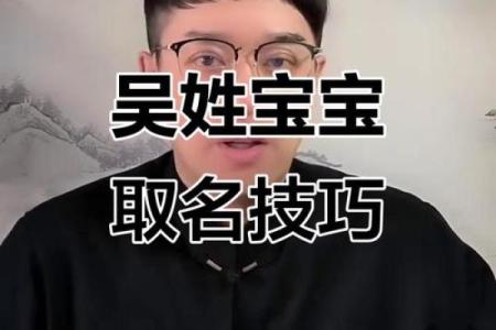 2019年出生的姓吴男孩如何起名，宜用什么字姓名