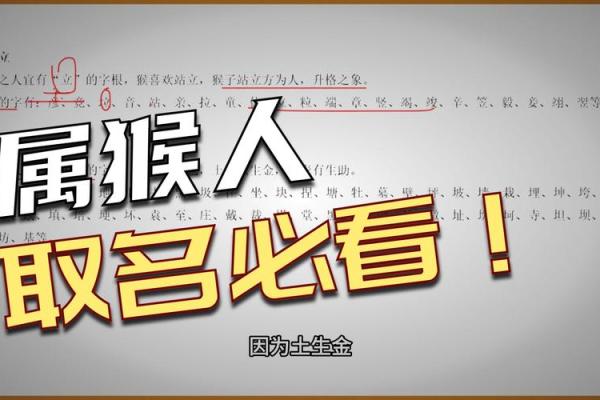 傍晚出生的属猴男孩如何起名,用什么字姓名 傍晚出生的属猴男孩如何起名,用什么字姓名