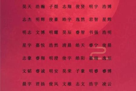 2019年5月16号子时出生的男孩应该起什么样的名字姓名