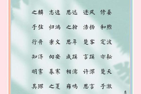 2019年6月23号子时出生的男孩如何起名姓名