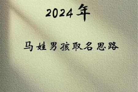 怎样给一月份出生属马的男孩取名字姓名
